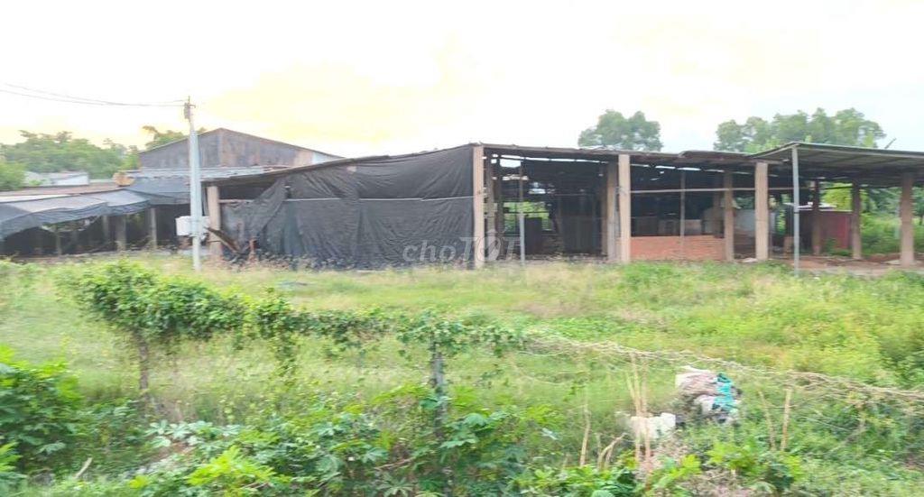 Kho xưởng mặt tiền Tân Hiệp 9-Hóc Môn. 4000m2 (1000m2 sàn). 50tr/tháng