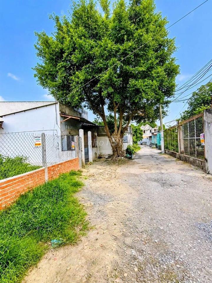 Đất thổ cư SHR 1/Tân Hiệp 14-Hóc Môn.Dt 17,3x54~927m2. 18ty
