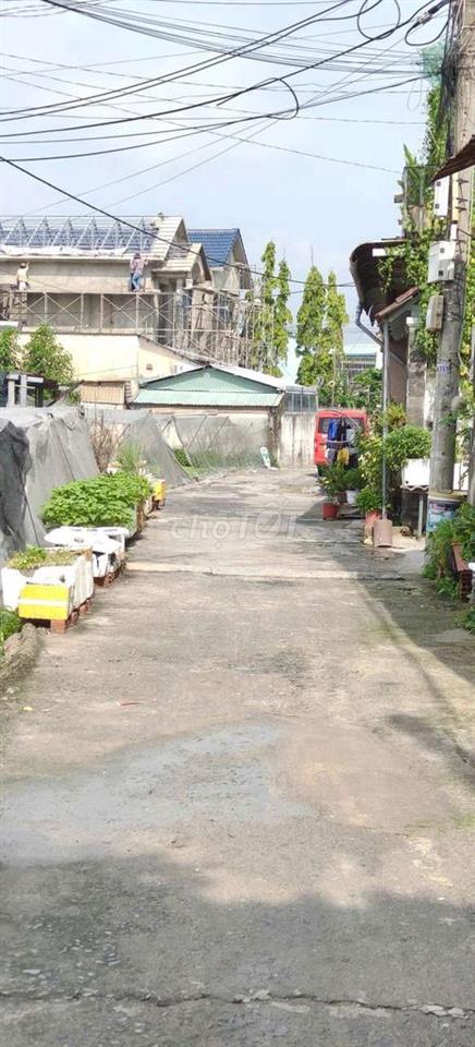 Đất thổ cư 1/Bùi Thị Lùng-Thới Tam Thôn-Hóc Môn.Dt 8x30~239m2~5,6ty