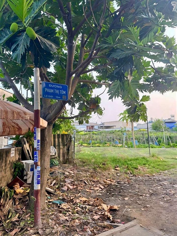 Đất thổ cư 3 mặt tiền Phạm Thị Tôm-Đông Thạnh-Hóc Môn.12x27~322m~8,4ty