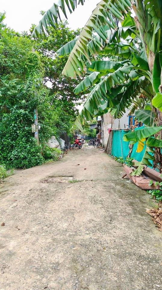 Đất nền SHR 2/Trung Đông 12-Thới Tam Thôn-Hóc Môn.Dt 5x20~101m2. 2,2ty