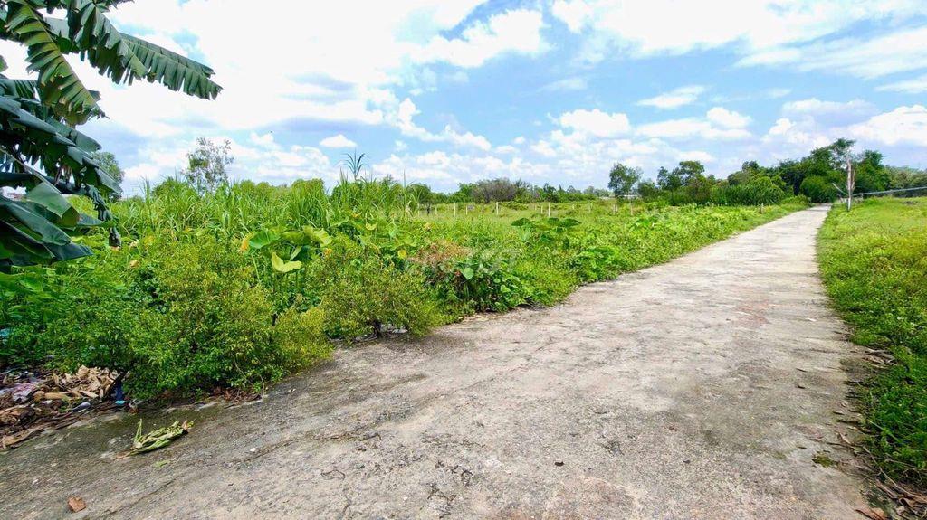 Đất nền SHR 2/Trung Đông 12-Thới Tam Thôn-Hóc Môn.Dt 5x20~101m2. 2,2ty