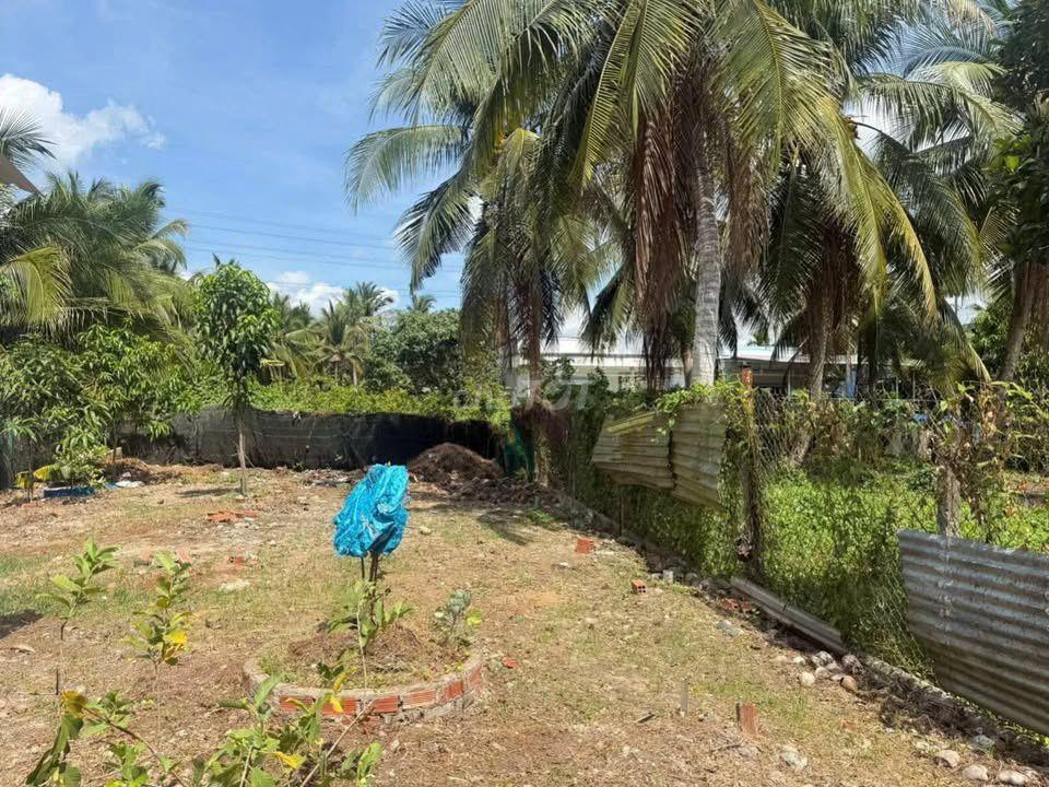 850 TRIỆU SỞ HỮU NGAY CĂN NHÀ VƯỜN SHR 215M2 PHƯỚC THẠNH, CỦ CHI