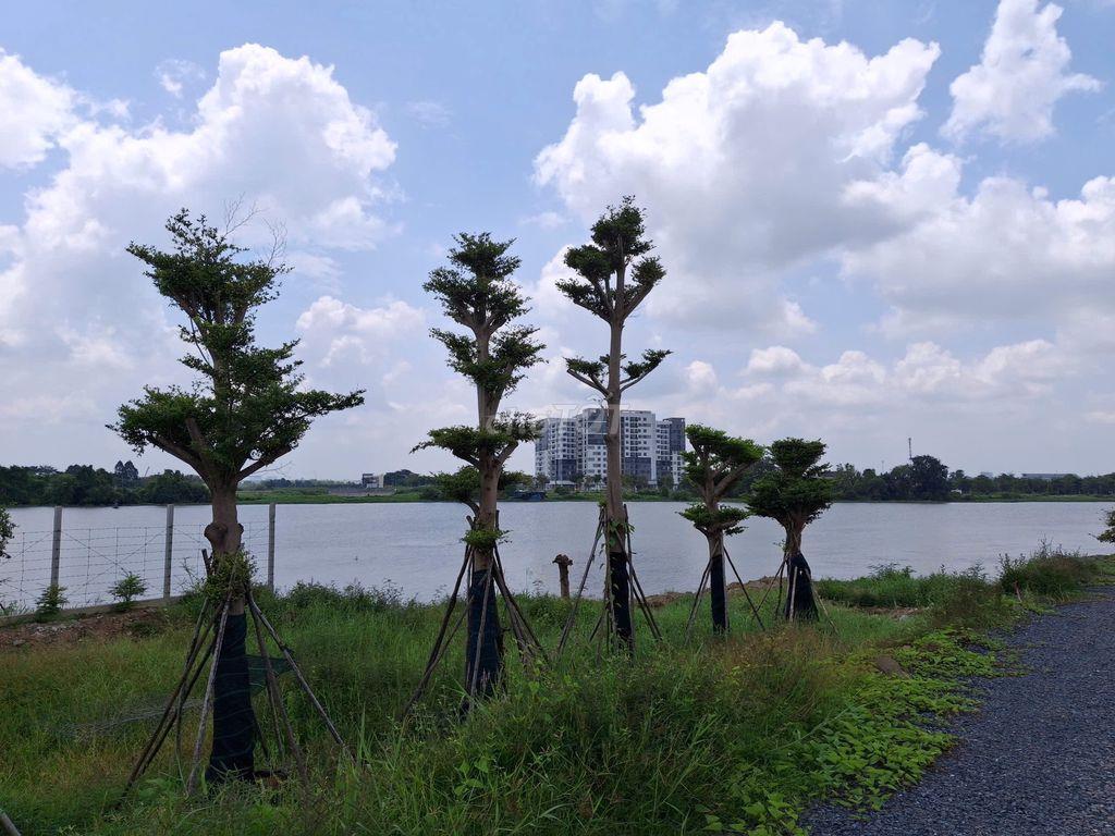 Biệt thự 100% Gỗ Đỏ Việt Nam.