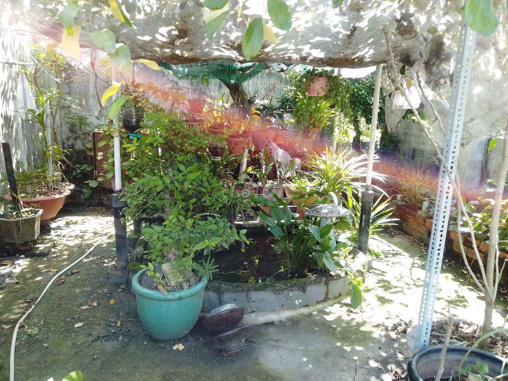 Nhà mặt tiền thoáng rộng đang kinh doạn