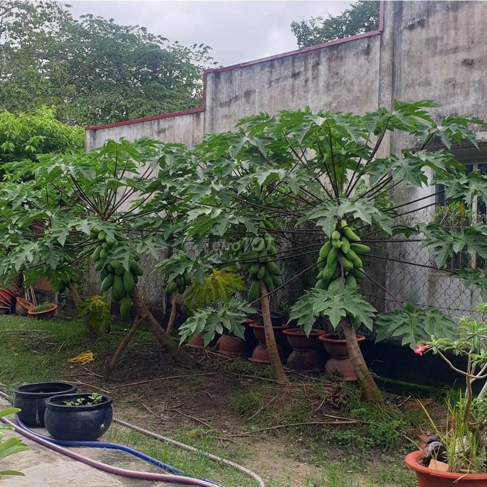 Cần bán nhà đất