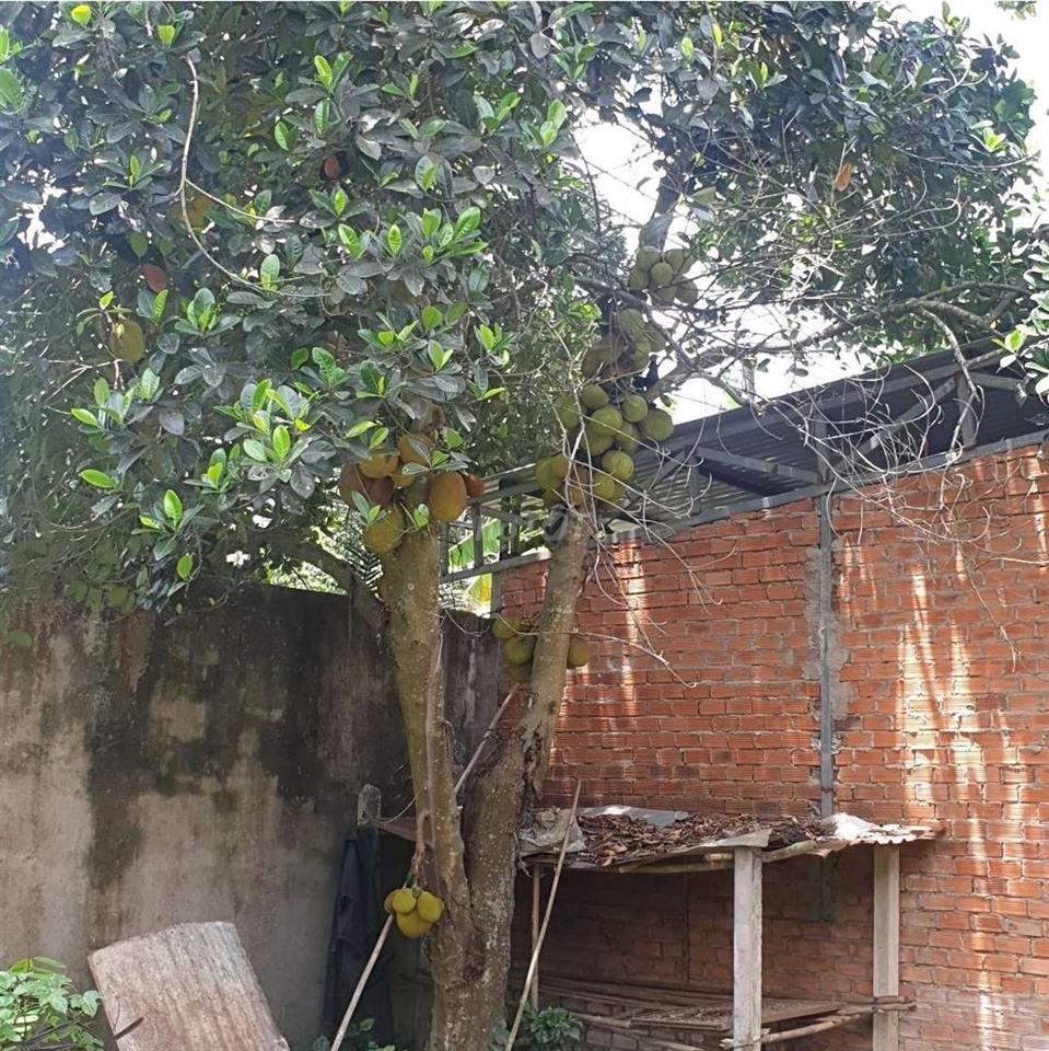 Cần bán nhà đất