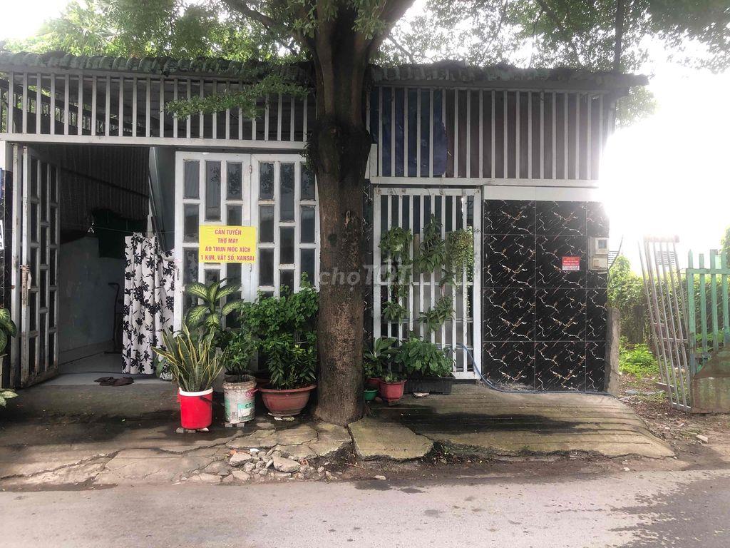 Nhà nguyên căn mặt tiền đường 177 cho thuê