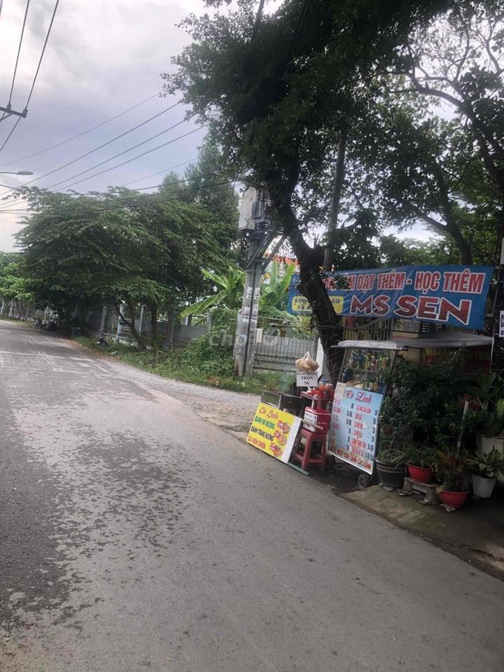 Nhà nguyên căn mặt tiền đường 177 cho thuê