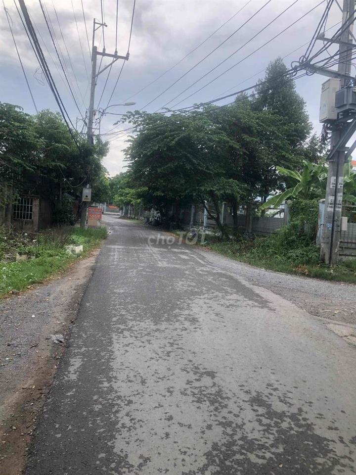Nhà nguyên căn mặt tiền đường 177 cho thuê