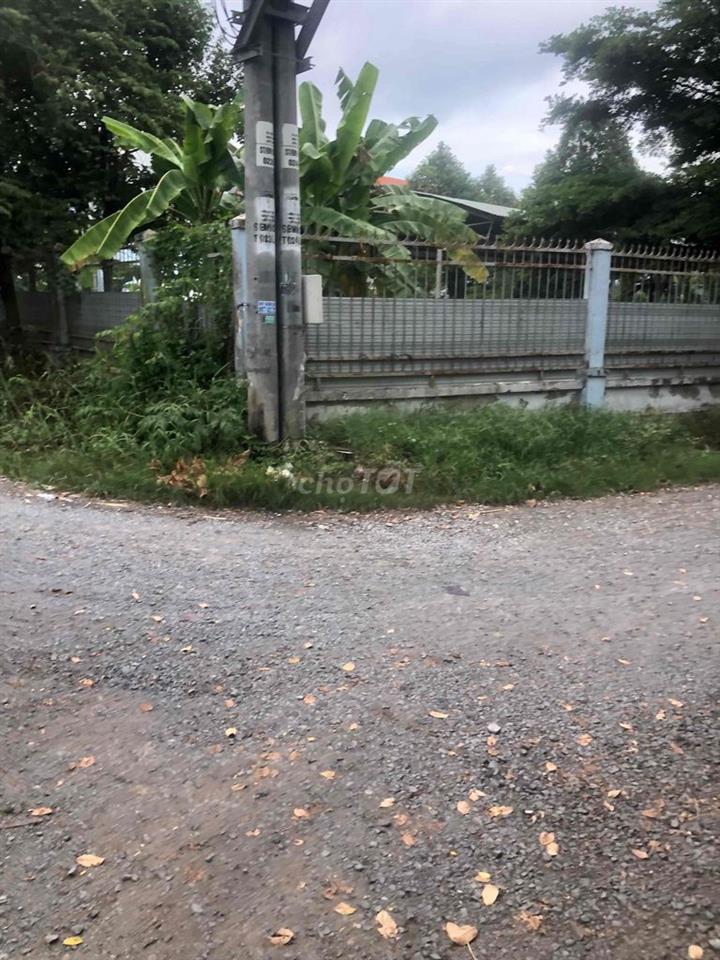 Nhà nguyên căn mặt tiền đường 177 cho thuê