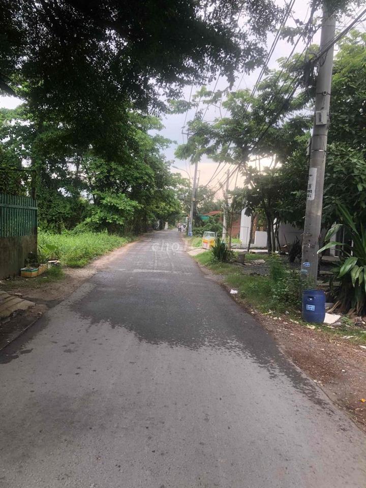 Nhà nguyên căn mặt tiền đường 177 cho thuê