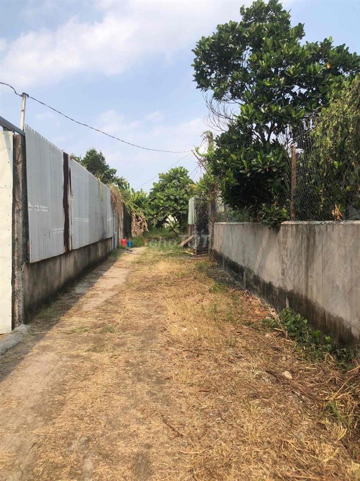 Cần bán gấp nhà vườn Rạch Bình Thuận!!!!