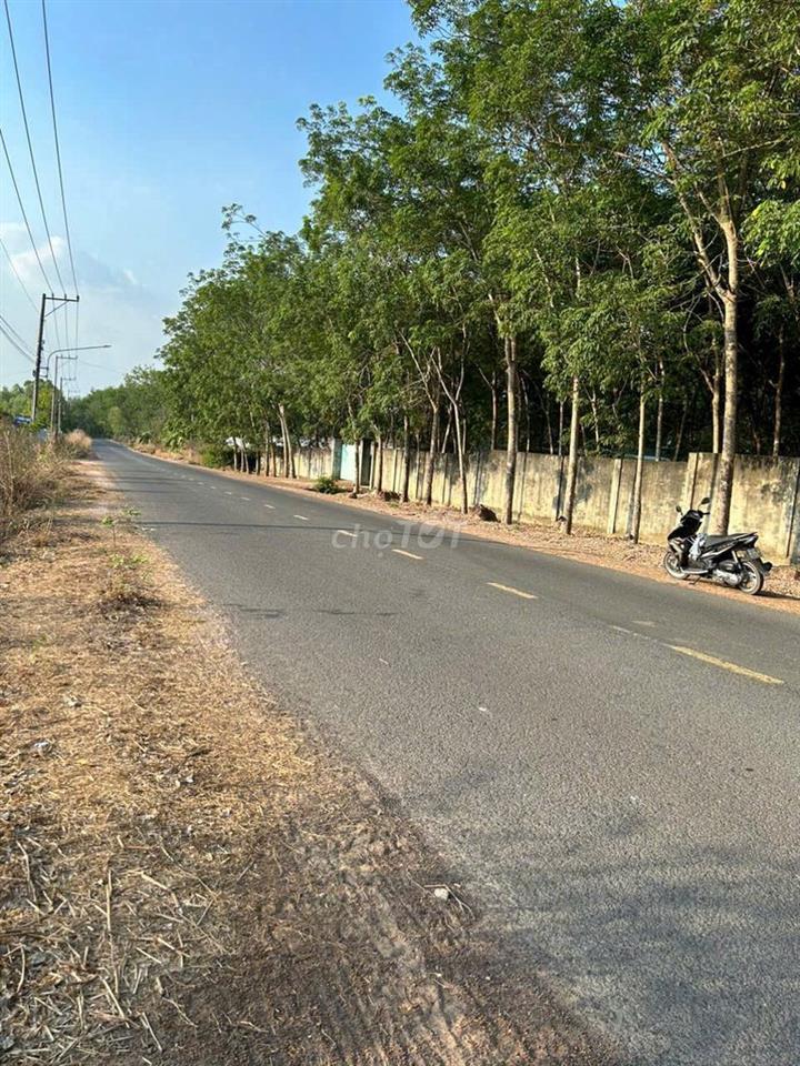 Kẹt tiền bán gấp đất MT Đường Lòng Nguyên Bầu Bàng 
