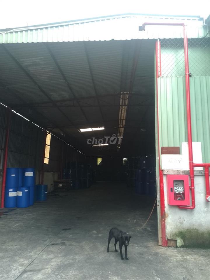 CHO THUÊ XƯỞNG MT ĐƯỜNG XE CONTAINER 40F 