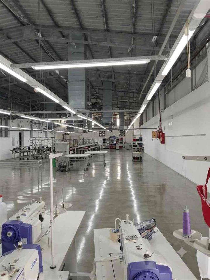 Cho thuê xưởng 1000m. Đường HLộ 80. Đông thạnh. Hóc Môn