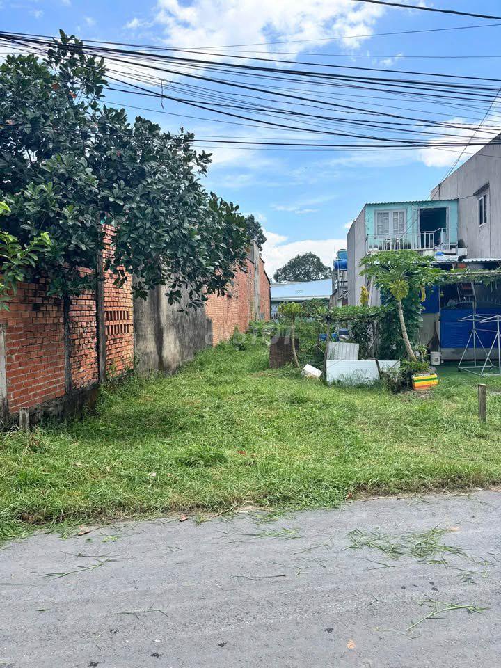 Chủ ngộp bán gấp đất 265m2 ngay X.Tân An Hôi, Củ Chi Giá 975 tr