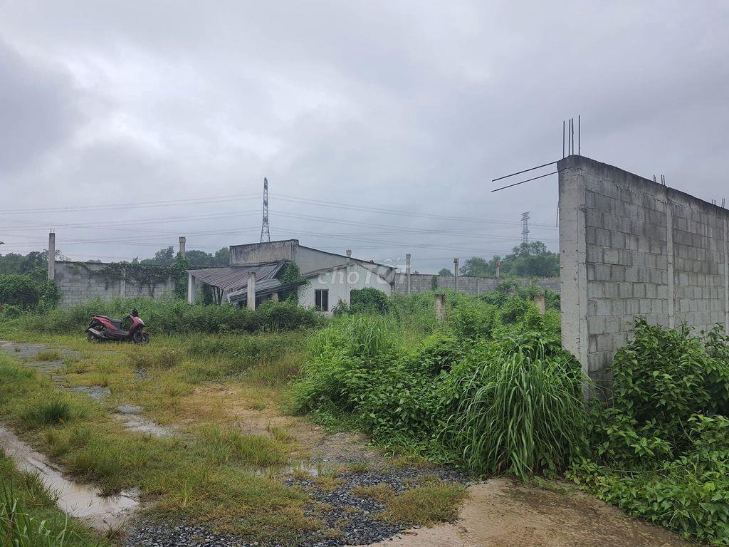 Chính chủ bán gấp lô đất 990m² xã Bình Mỹ, giảm mạnh chỉ còn 4,7 tỉ