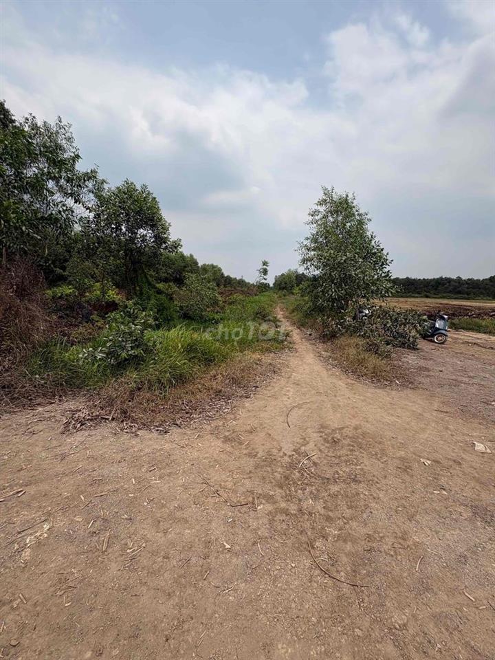 Đất 22.000m2 ngay thị trấn củ chi gia đình cần bán