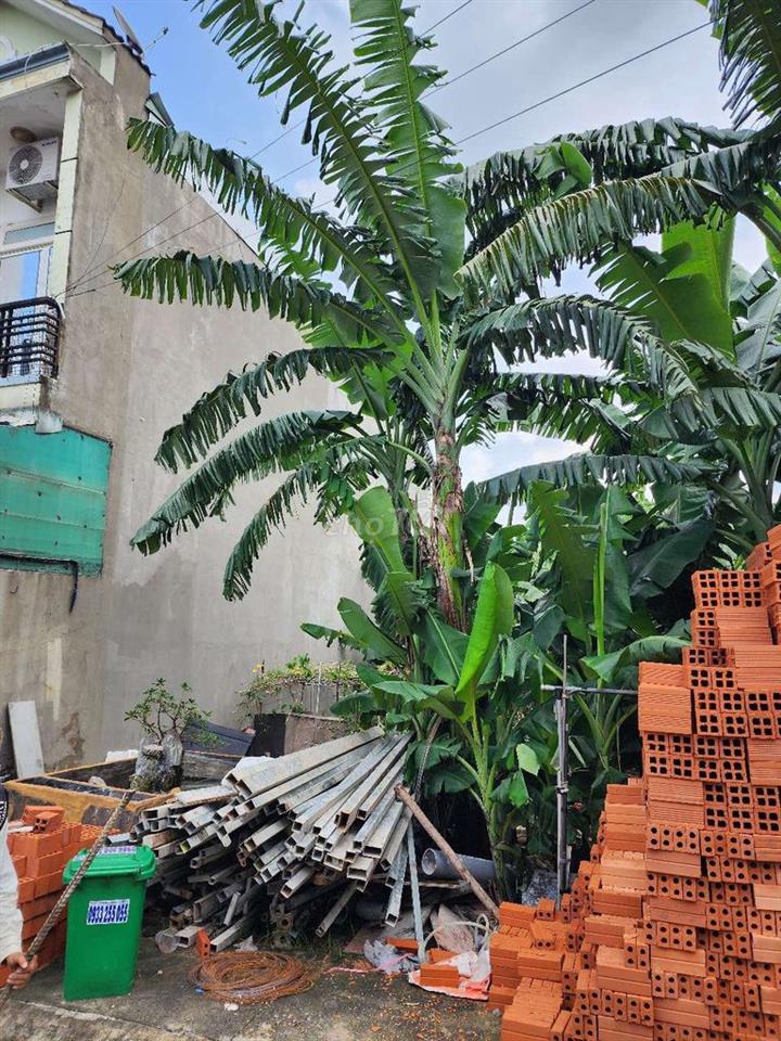Bán đất hẻm Thới Tam Thôn 6. 81m2. Giâ chỉ 4 tỷ.