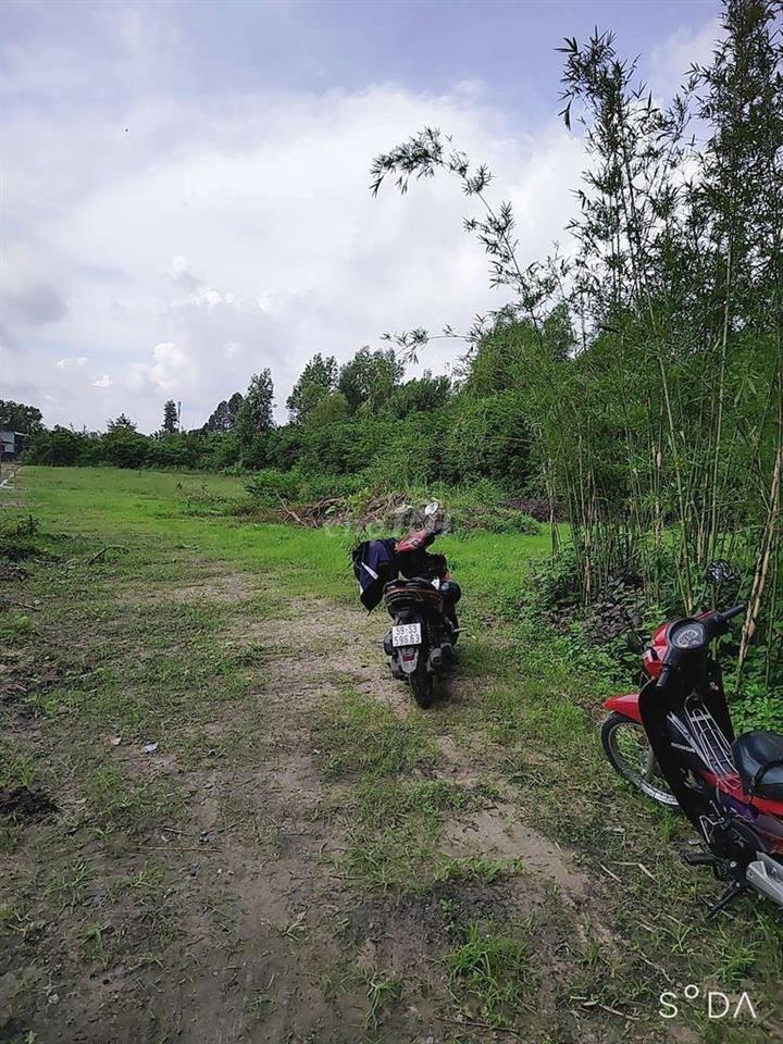 Đất Trung Lập Thượng. 2153m2. 3,2 tỷ.