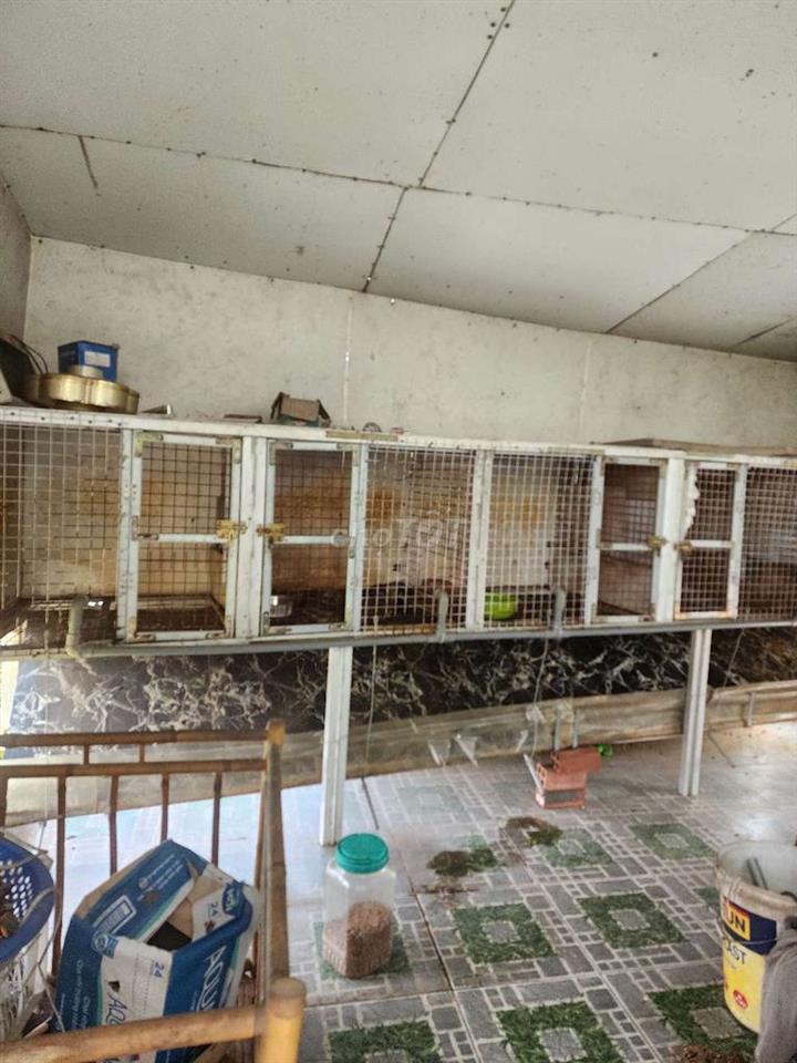 Nhà mặt tiền Song Hành. 125.5m2. 2 tầng. 8,2 tỷ.