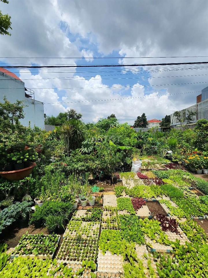 Đất mặt tiền Song Hành. 10x29,5. 282m2. 17,8 tỷ.