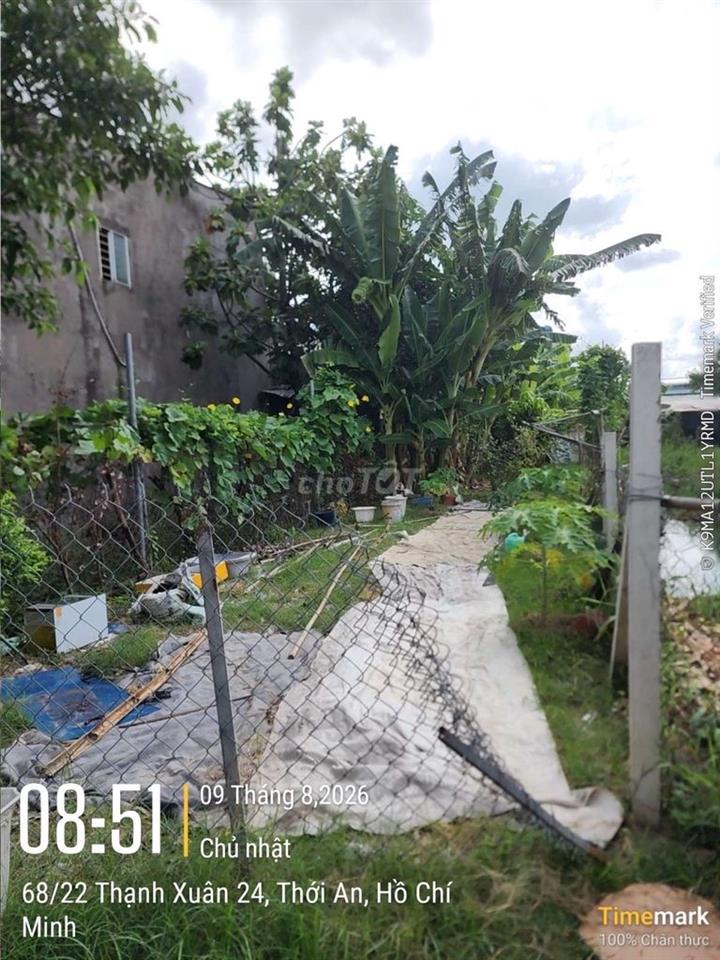 Đất hẻm xe hơi đường Thạnh Xuân 24. 123,7m2 
