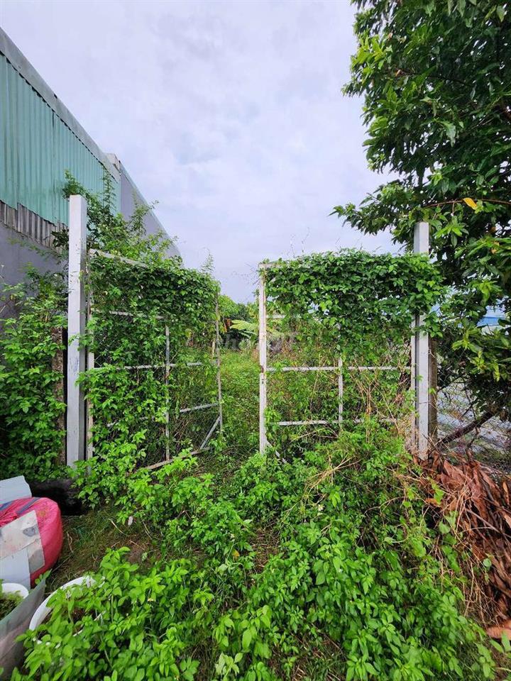 Đất 1/ Xuân Thới Thượng 14. 5x30. CN: 153m2. 