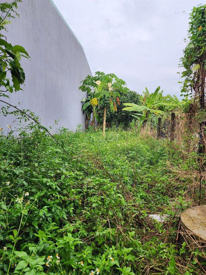 Đất 1/ Xuân Thới Thượng 14. 5x30. CN: 153m2. 
