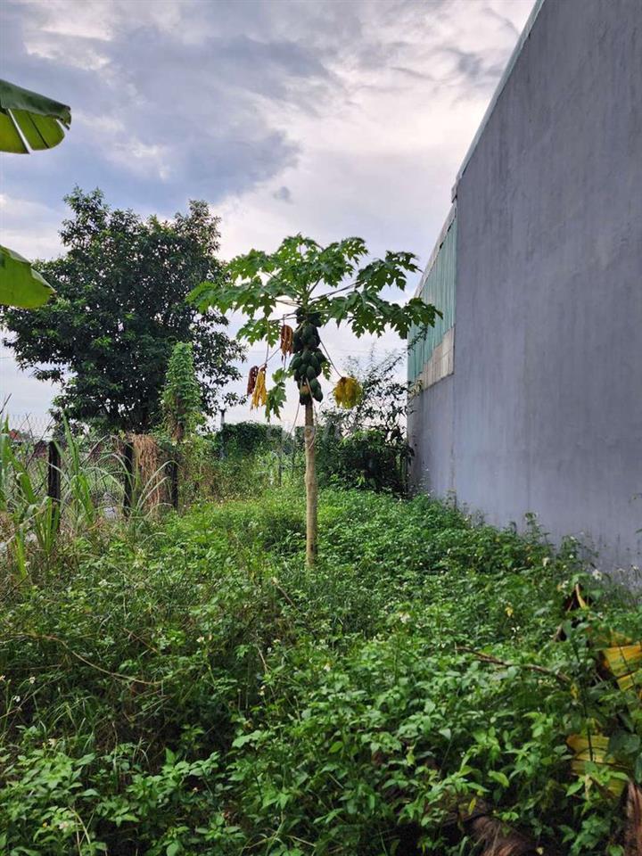 Đất 1/ Xuân Thới Thượng 14. 5x30. CN: 153m2. 
