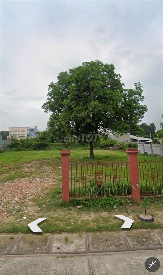 CHỈ 650 TRIỆU ĐÃ SỞ HỮU 240M2 ĐẤT Ở GẦN CHỢ VIỆT KIỀU CỦ CHI SIÊU RẺ
