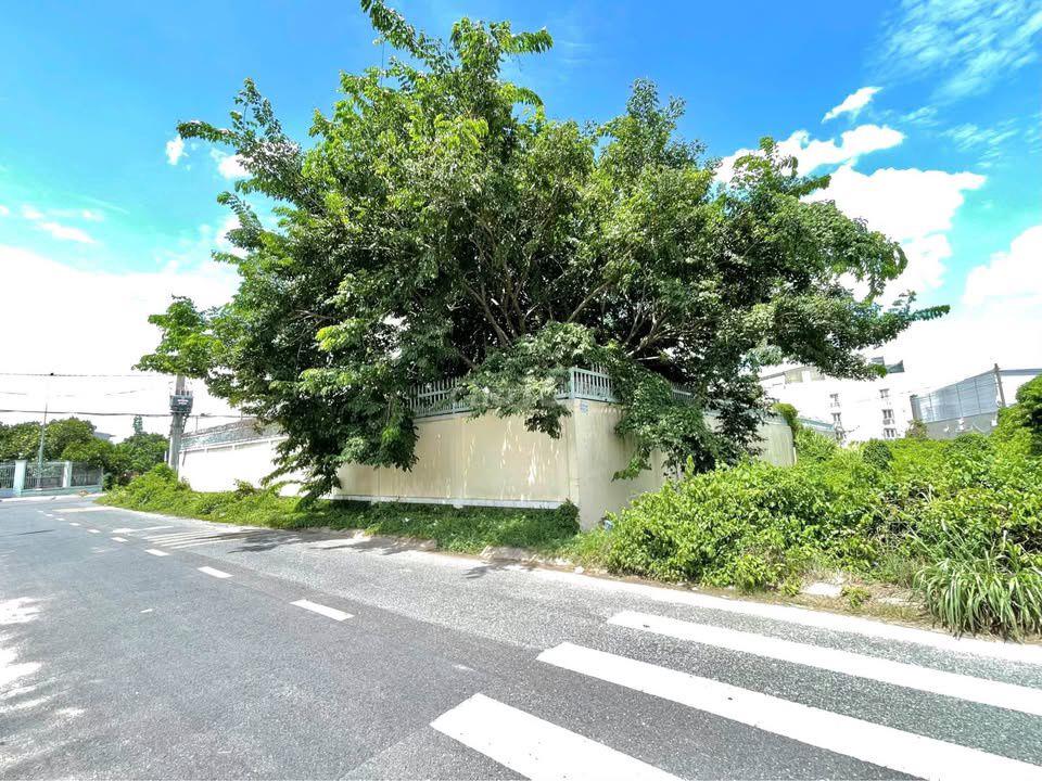 630 TRIỆU ĐỂ MUA ĐƯỢC LÔ ĐẤT 200m2 NGAY CẦU VƯỢT CỦ CHI