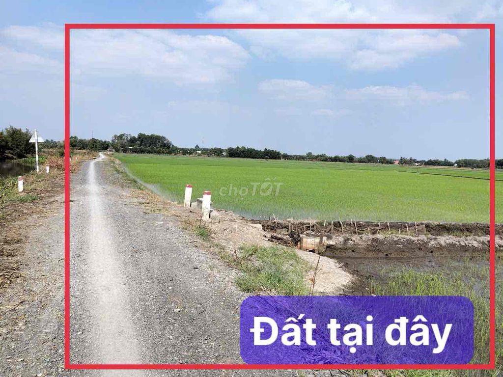 cần bán nhanh lô đất giá rẻ khu vực