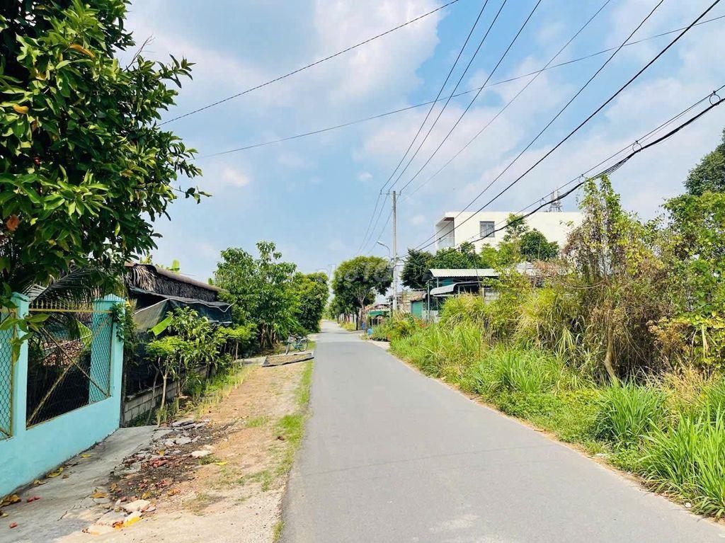Ngộp lô đất đối diện Bò Tơ Hồng Đào Xã Tân Thông Hội, Củ Chi
