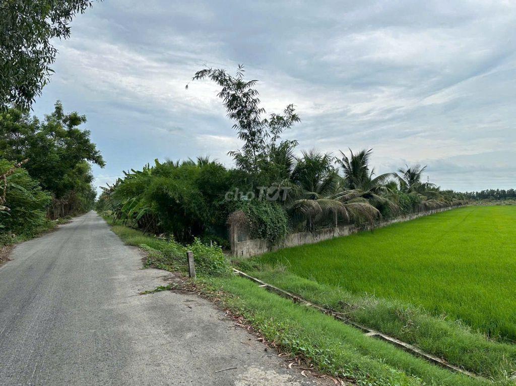 GIẢM 2 TỶ, TÔI CHÍNH CHỦ bán lô đất Mặt tiền đường nhựa 8m Thái Mỹ CC