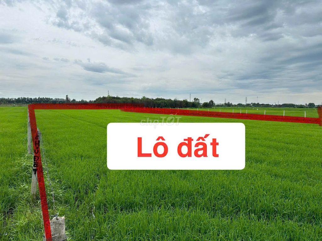 GIẢM 2 TỶ, TÔI CHÍNH CHỦ bán lô đất Mặt tiền đường nhựa 8m Thái Mỹ CC