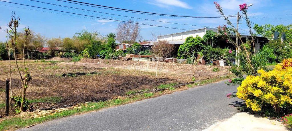 🔥 Đất MT Phước Thạnh chỉ 730TR – Giá rẻ hiếm, chốt nhanh kẻo mất!