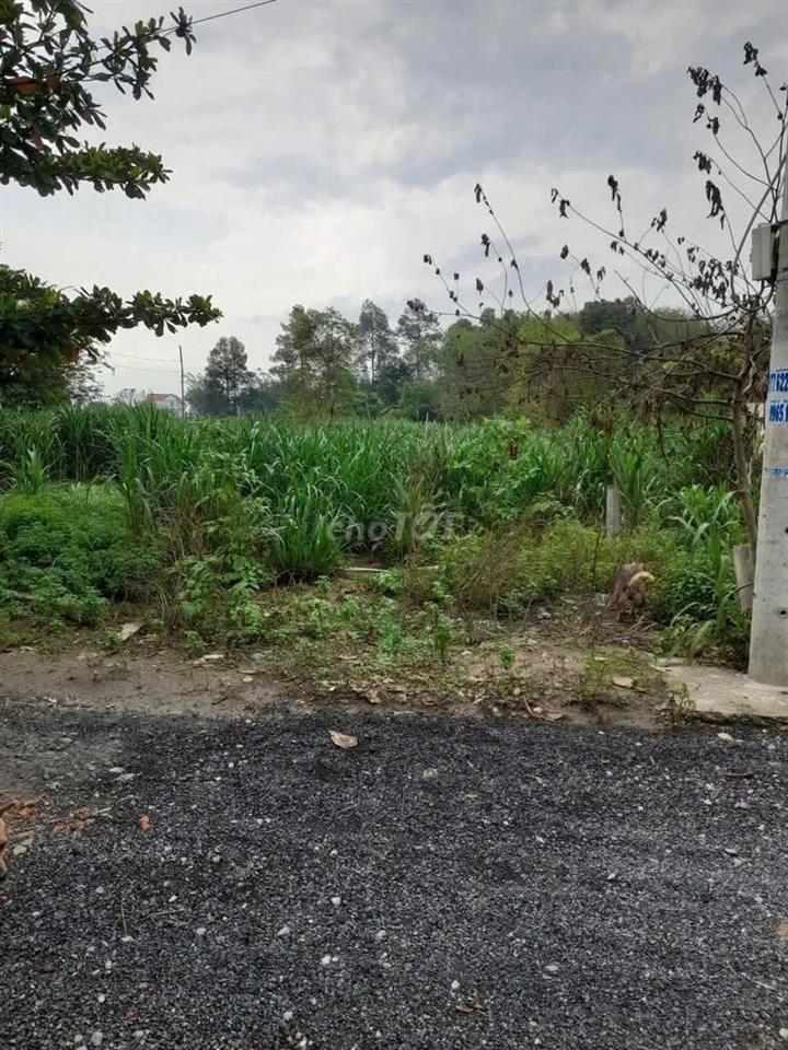 LÔ ĐẤT RẺ XÃ TÂN THẠNH ĐÔNG, 138M2, SHR, 750TR