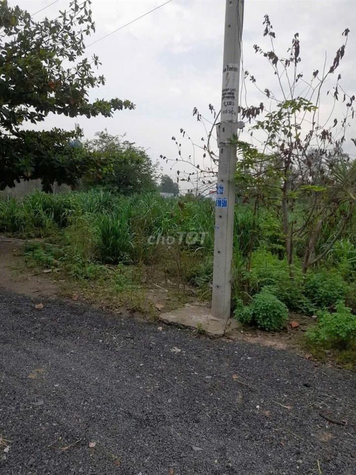 LÔ ĐẤT RẺ XÃ TÂN THẠNH ĐÔNG, 138M2, SHR, 750TR