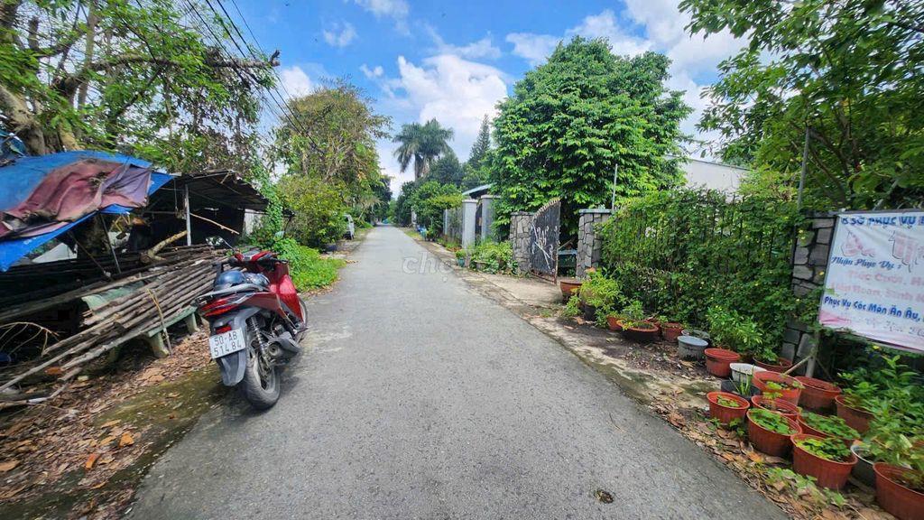 CHỦ NGỘP OXY,  BÁN LÔ ĐẤT XÃ TÂN THÔNG HỘI, 188m2, SHR, 850TR