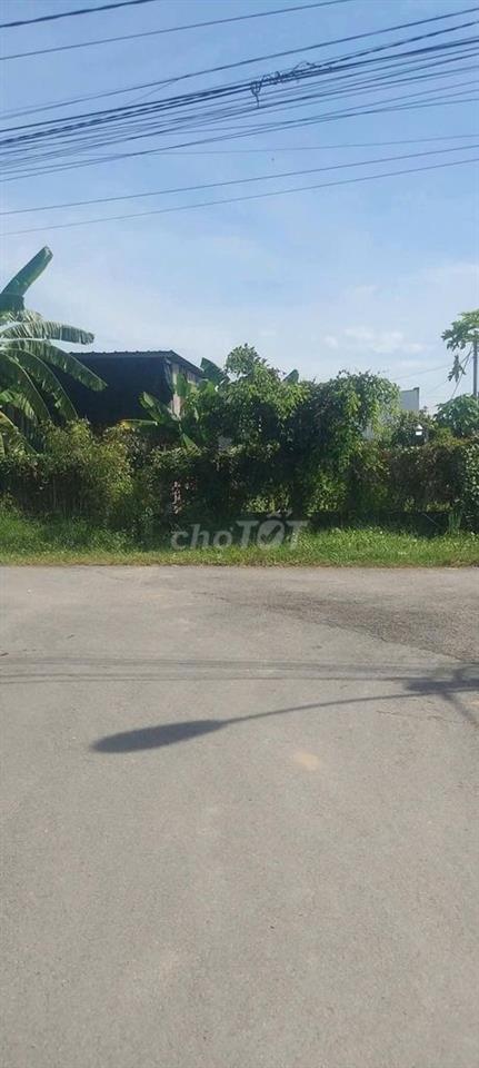 CÒN SÓT LÔ ĐẤT ĐẸP, XÃ TÂN THÔNG HỘI, 310M2, SHR, 950TR