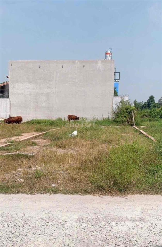 Đất 92,5m2 hẻm xe hơi đến cửa, gần chợ Bình Mỹ, trường học giá tốt