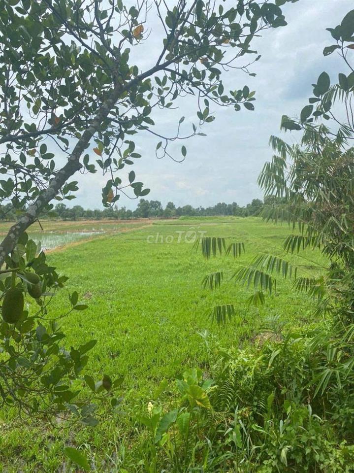 BÁN ĐẤT HÓC MÔN- XÃ TÂN HIỆP CŨ (HÓC MÔN MỚI)