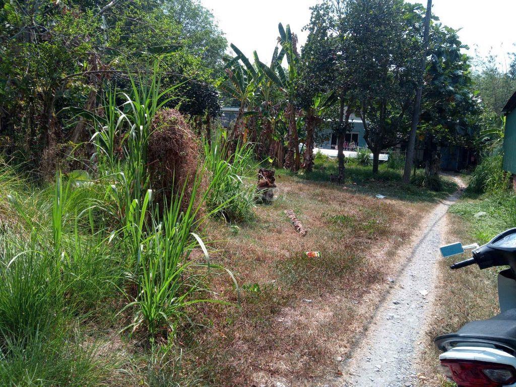 chính chủ cần bán