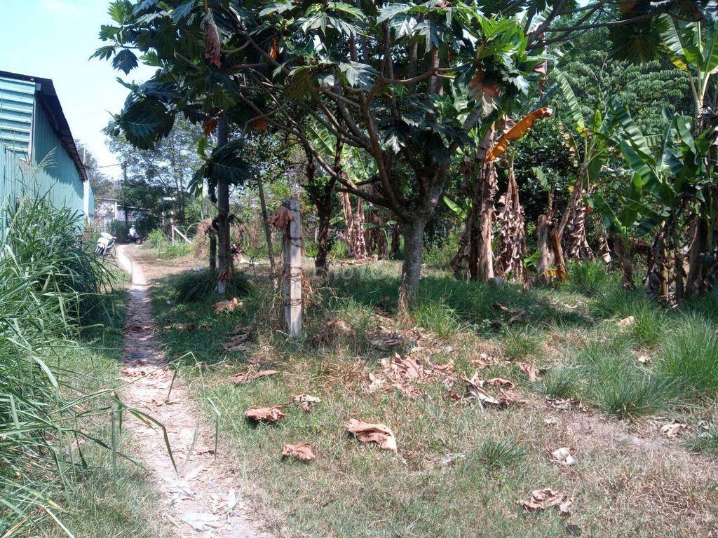 chính chủ cần bán