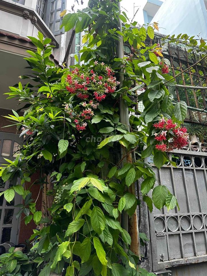 Bán dãy nhà trọ