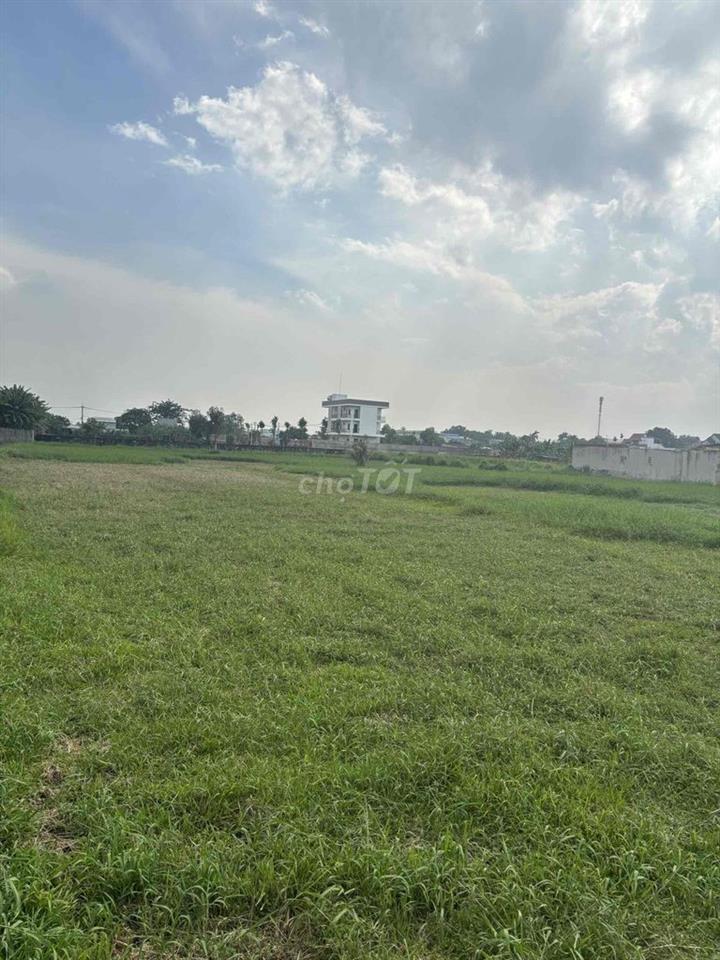 Bán đất Cây lâu năm mặt tiền hẻm nhựa ô tô tải