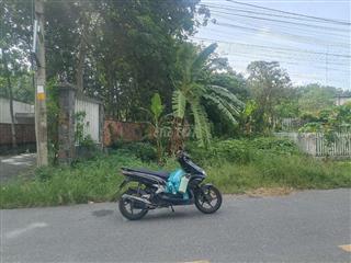 bán đất vườn 