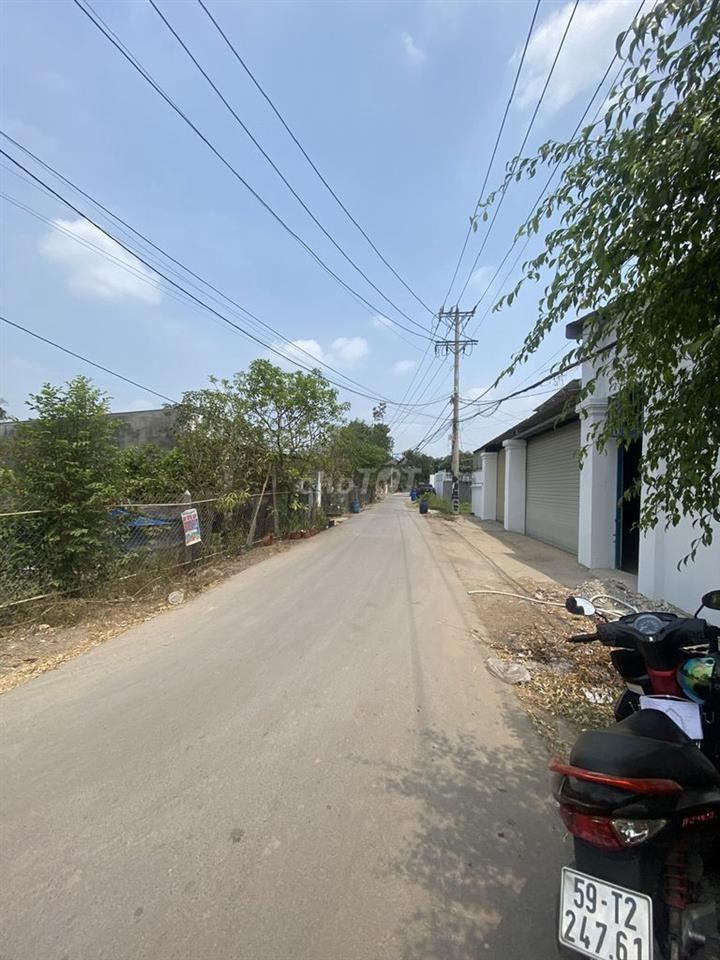 CẮT LỖ LÔ 2 MẶT TIỀN 1/ NGUYỄN KIM CƯƠNG 5*21